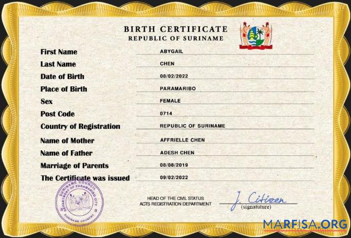 Blank Suriname birth certificate PSD template
